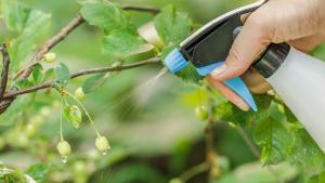 Perú Compras incluirá nuevos productos en la lista de fertilizantes estandarizados para facilitar su compra en el sector agricultura