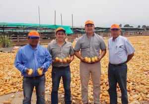 Perú: Desde una Agricultura de subsistencia hasta una Agricultura de Exportación