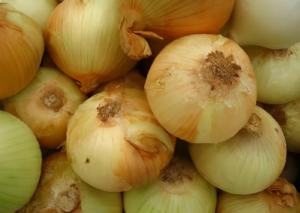 Perú exportó 118.416 toneladas de cebolla por US$ 47 millones entre enero y agosto de 2023