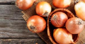 Perú exportó 123.319 toneladas de cebolla por US$ 42 millones, mostrando una contracción de 11% en volumen y 7% en valor