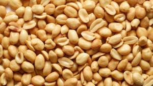 Perú exportó 2.538 toneladas de maní en grano sin cáscara convencional por US$ 2.2 millones en 2024