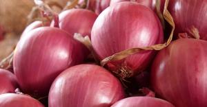 Perú exportó 259.419 toneladas de cebolla fresca por US$ 104 millones en 2023