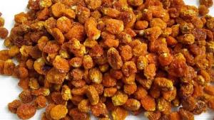 Perú exporto 390 toneladas de aguaymanto por US$ 2.87 millones, mostrando una reducción de -12% en volumen y -7.4% en valor