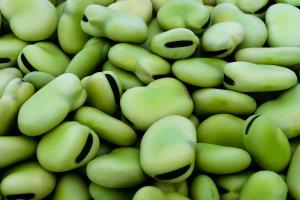 Perú exportó habas por US$ 4 millones durante 2021