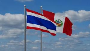 Perú fue el principal proveedor de arándanos de Tailandia en 2024