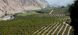 Perú, jalado en el 2023: Qué hacer para no repetirlo