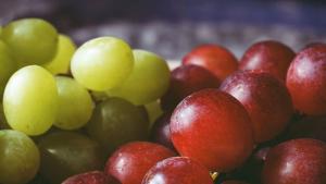 Perú se encamina a superar los US$1.900 millones en exportaciones de uva en 2025 y deja cada vez más atrás a Chile, EEUU e Italia