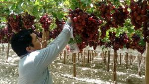 Perú tiene como objetivo lograr 26 nuevos accesos para productos agropecuarios a importantes mercados del mundo