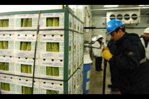 PERÚ Y ESTADOS UNIDOS AVANZAN EN IMPLEMENTACIÓN DEL TLC