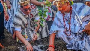 Ponen en marcha proyecto de cítricos y paltos en la selva central