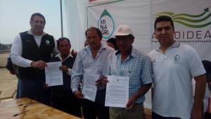 Potenciarán producción de granada, mandarina y palta en Pisco