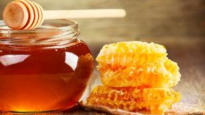 PROAPI obtendrá certificación orgánica este año