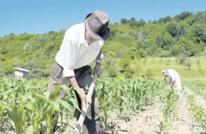 Producción agrícola y pesquera en América Latina crecerá 12% al 2032