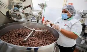 Producción nacional de cacao y chocolate genera valor agregado de más de S/ 886 millones