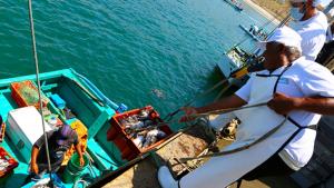 Produce optimiza reglamento de inocuidad para pesca y acuicultura