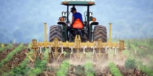 Productividad de la mano de obra agrícola en la UE ha subido un 13% en 2022