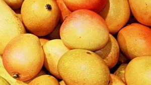 "Productores de mango en Brasil al borde del colapso por nuevos aranceles de Estados Unidos”