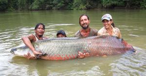 Productores de paiche se preparan para el mercado internacional