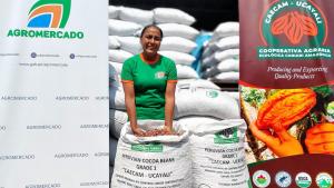 Productores de Ucayali exportan 175 toneladas de cacao a Italia, Países Bajos y Estados Unidos