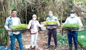 Productores piuranos exportaron más de 17.000 toneladas de limón Sutil y Tahití este año