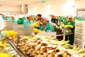 Productos con valor agregado a Estados Unidos crecieron 136.6% desde vigencia de TLC