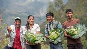 Productos orgánicos camino a estar exonerados de impuesto a la renta por tres años