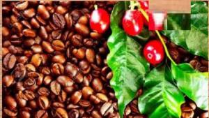 Productos orgánicos: Perú tiene ventajas competitivas en mercado internacional