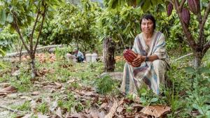 Programa Bosques y comunidades nativas han contribuido a la conservación de 5.8 millones de hectáreas de bosques en Perú