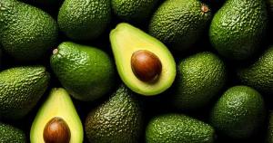ProHass: exportaciones peruanas de palta Hass podrían crecer un 37% en volumen en 2025
