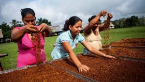 ProInnovate destina S/ 2.5 millones para impulsar la innovación y emprendimientos en la región Cajamarca