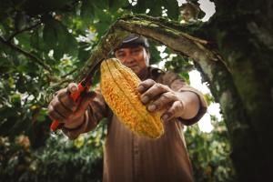 PromPerú otorgó sello de Biocomercio Perú a 14 empresas nacionales de agroindustria y manufacturas