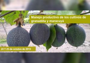 PROMUEVEN PROPAGACIÓN DE DOS ESPECIES DE PASSIFLORAS 