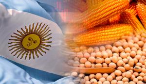 Propuesta de Milei elevaría costos de productos peruanos importados con maíz y aceite de soya