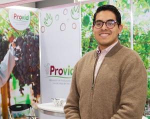 Provid: Todavía no se puede dimensionar el impacto del fenómeno El Niño en la industria de uva de mesa