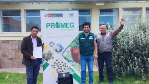 Puno: INIA transfieren pajillas para mejorar calidad ganadera de Huancané