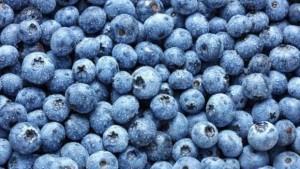 Región Lima exportó 21.937 toneladas de arándanos frescos para la campaña 2025/2026