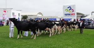 Regresa la Feria Nacional de Ganado Lechero a La Molina