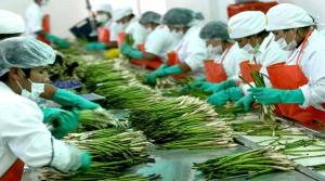 Restaurar el drawback a 5% generaría que exportaciones aporten más a la economía