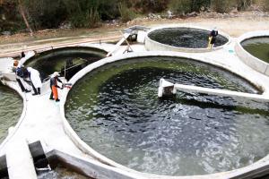 Sanipes realiza fiscalización sanitaria ante derrame de concentrado minero en el río Chillón