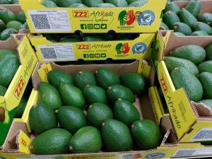 "Satisfacer la creciente demanda de paltas no es fácil para los importadores"