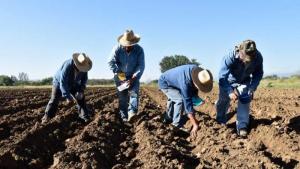 Se proyectan 2.041.129 hectáreas de siembras, lo que representa un incremento de 2.8%
