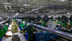 Se requiere inversión privada, estabilidad jurídica y competitividad para salir de recesión