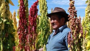 Sector agropecuario lidera crecimiento de 23.69% en abril, impulsando la economía del país