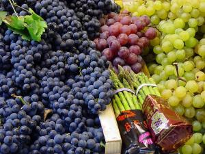 SECTOR AGROPECUARIO NO TRADICIONAL CRECIÓ 6.6%