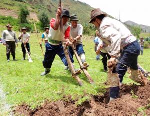 Sector agropecuario y pesca obtuvo el peor desempeño de productividad laboral en 2021