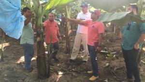 Semillas de Impacto: Fondo FOHRSA impulsa la Resiliencia de la Agricultura en las Américas