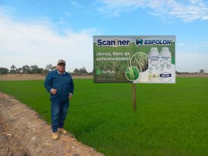 “Si no prevenimos las enfermedades vamos a tener problemas serios en cultivos de arroz”