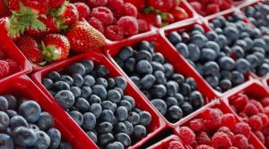 Sierra y Selva Exportadora organiza “VIII Seminario Internacional de Berries” en cuatro regiones