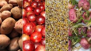 SUPERALIMENTOS PERUANOS INGRESAN AL MERCADO VEGANO A TRAVÉS DE SUPERMERCADO