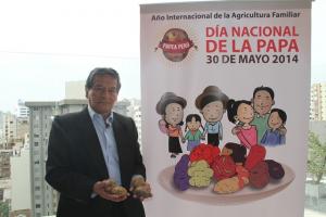 SUPERFICIE SEMBRADA DE PAPA CRECIÓ 14% EN ÚLTIMAS OCHO CAMPAÑAS